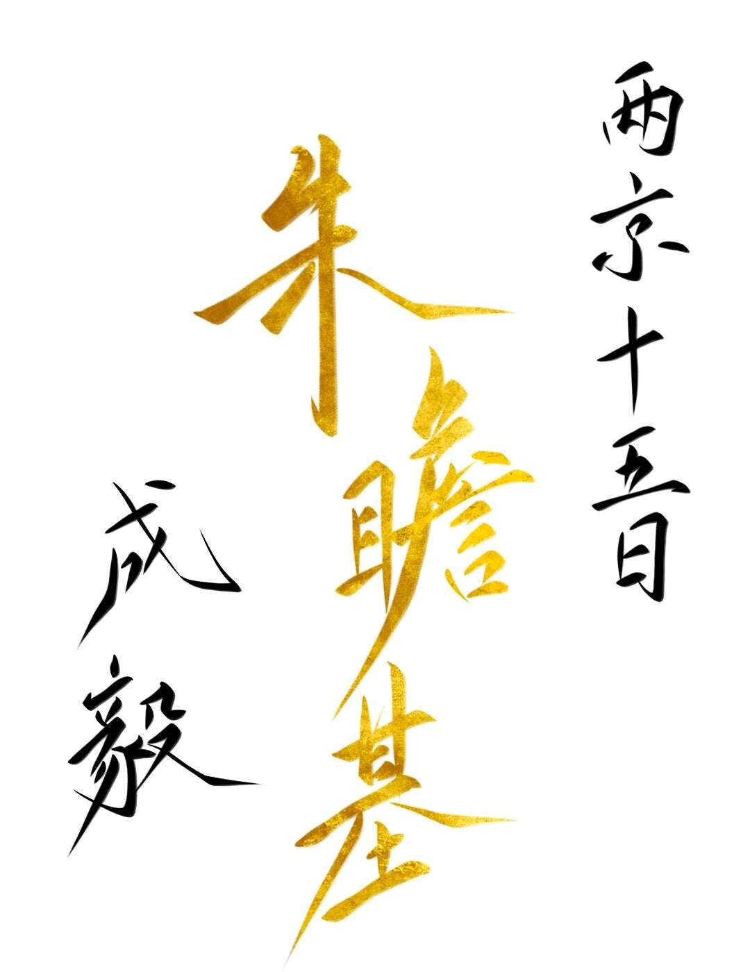 奔袭两千里，两京十五日两京十五日成毅成毅朱瞻基