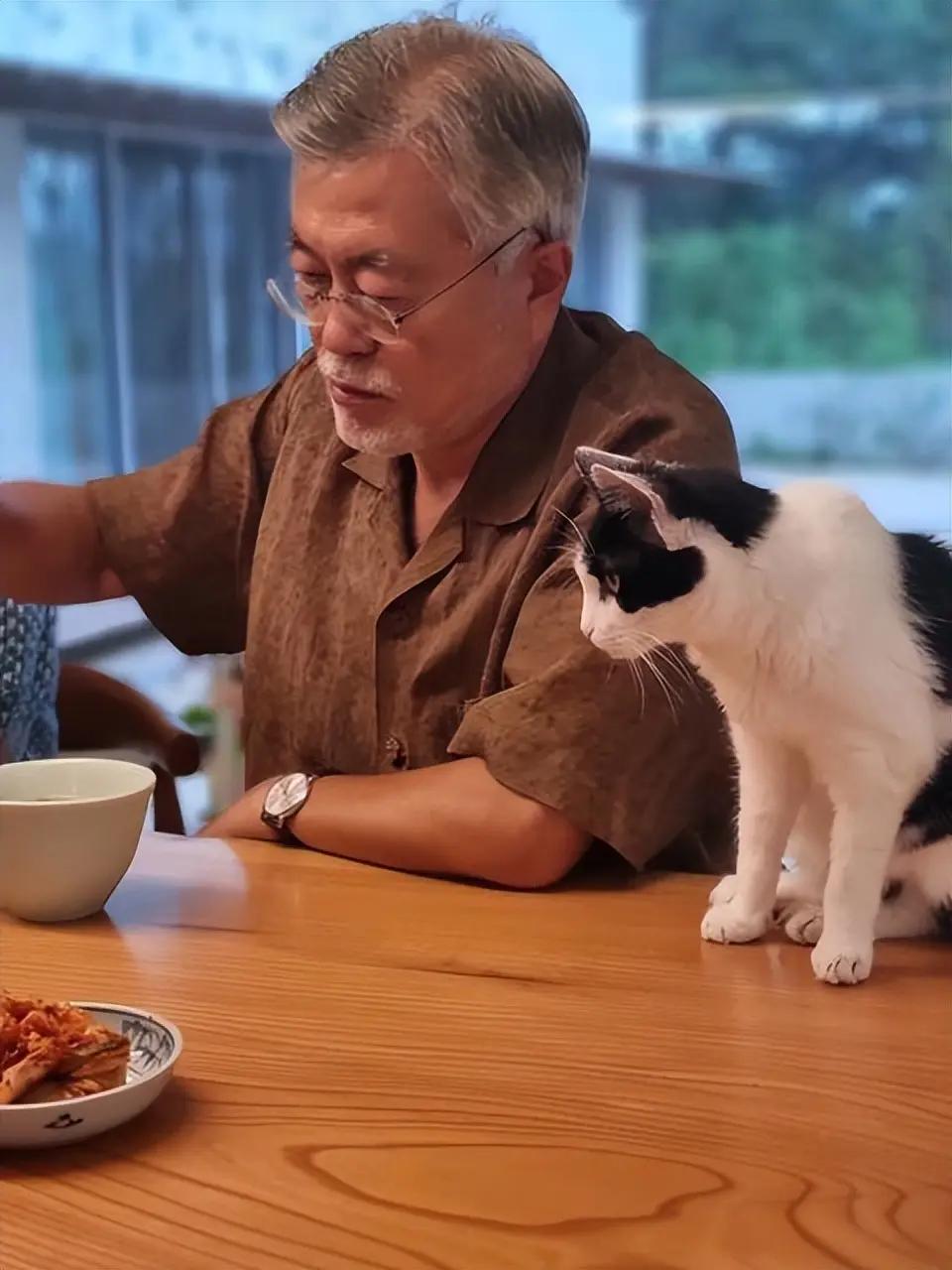 越来越佩服文在寅了，他是第一个打破“青瓦台魔咒”的人，无论是李在明还是尹锡悦都没