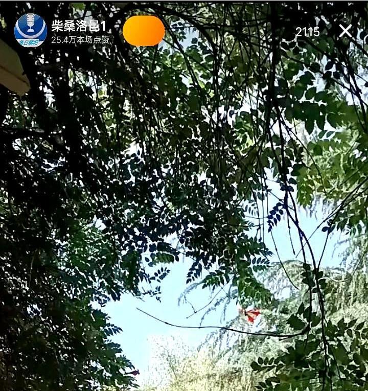 太棒了，柴桑大姐说52确实要开了！听听大姐怎么说的？张伦巴这消息灵通劲儿真让