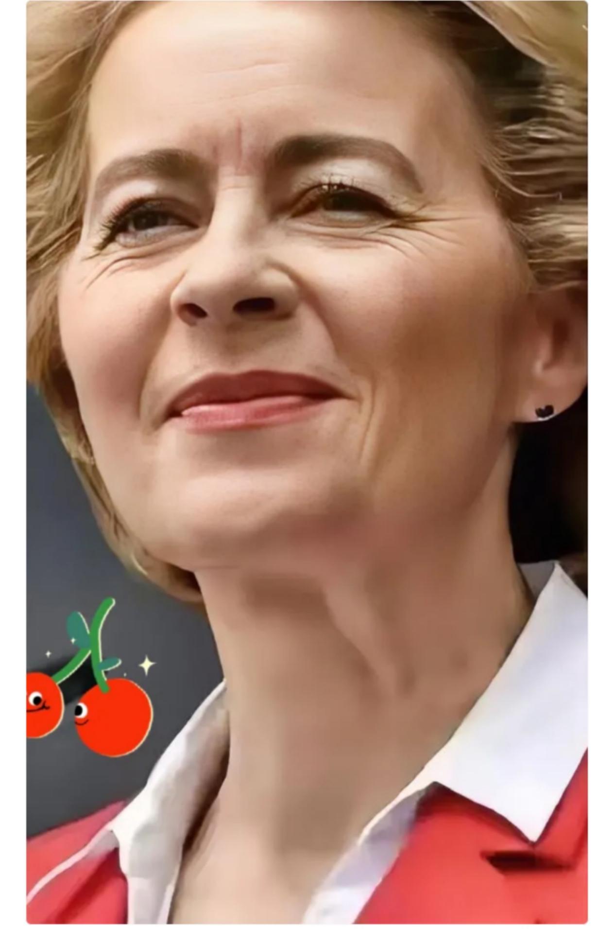 欧盟最近的动作有点急。12月28日央视新闻报道，冯德莱恩、科斯塔、荷兰首相斯霍夫