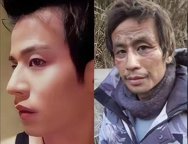 郁雷鸣是个上海富二代，为了救流浪狗把家产全搭进去了。16年收养3000多只狗，卖