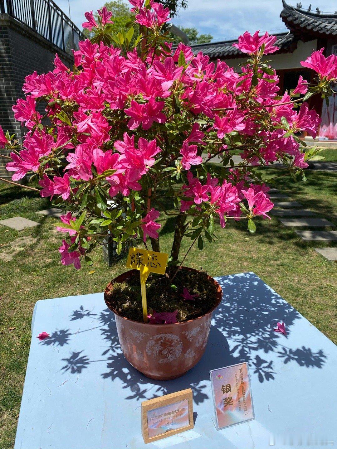 A股马上就要开盘了，对于今天的行情，莎莎再重点分享几个观点第一，昨天晚上美股三大
