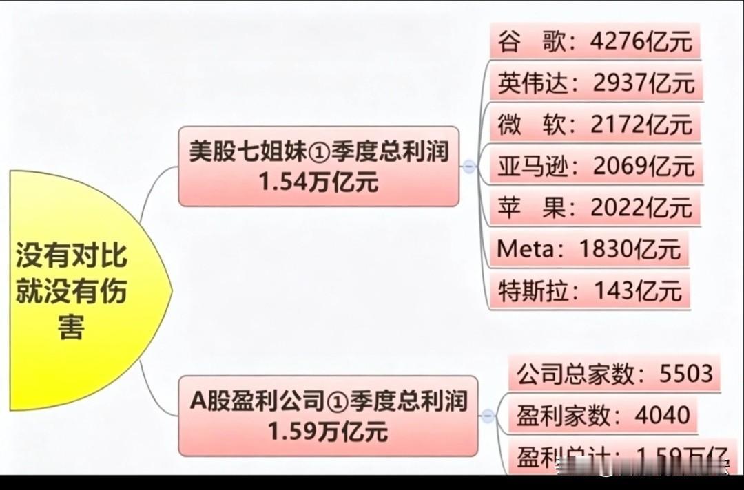 没有对比就没有伤害，美国的科技企业是真赚钱。有的地方毕业就想去科技企业，有的地