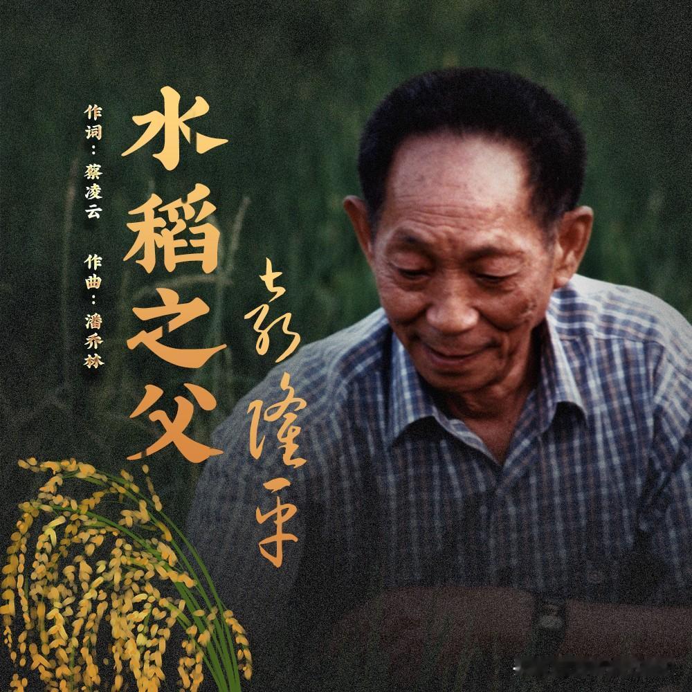 秧苗被拔光那夜，袁隆平蹲在田埂上捡了一宿碎叶子。1968年5月18日夜，70