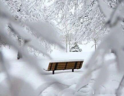 【对抗寒冬注意补好五脏气】健康科普中医养生说中医学强调“冬藏”，意思是说，寒冬