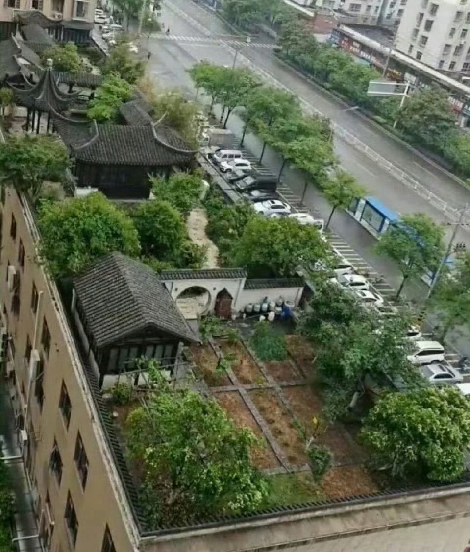 如果小区有这样的绿化给你一千万换不换