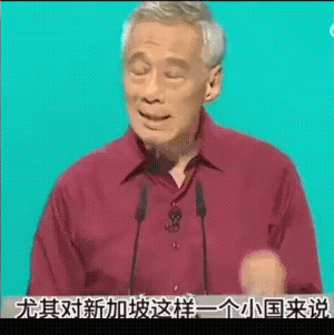 请新加坡出来走几步，当时俄乌冲突刚起，李显龙就站出来定了调：我们不畏强权，必须批