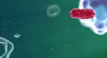 阎肃观察肃言肃语【6类食物已被证实促癌】自带防癌属性的常见食物俗话说“病从口入