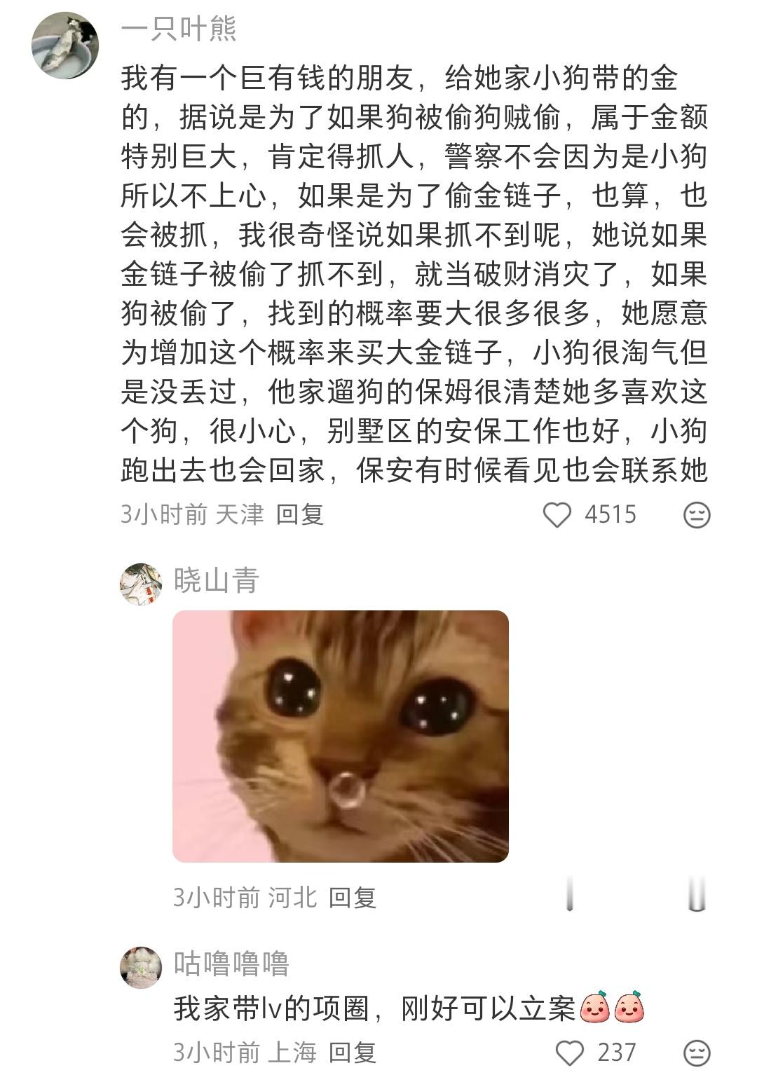 评论这个方法是不是很有用？给狗子挂一个真金的牌牌，如果狗子被偷了，可以报警说钱财