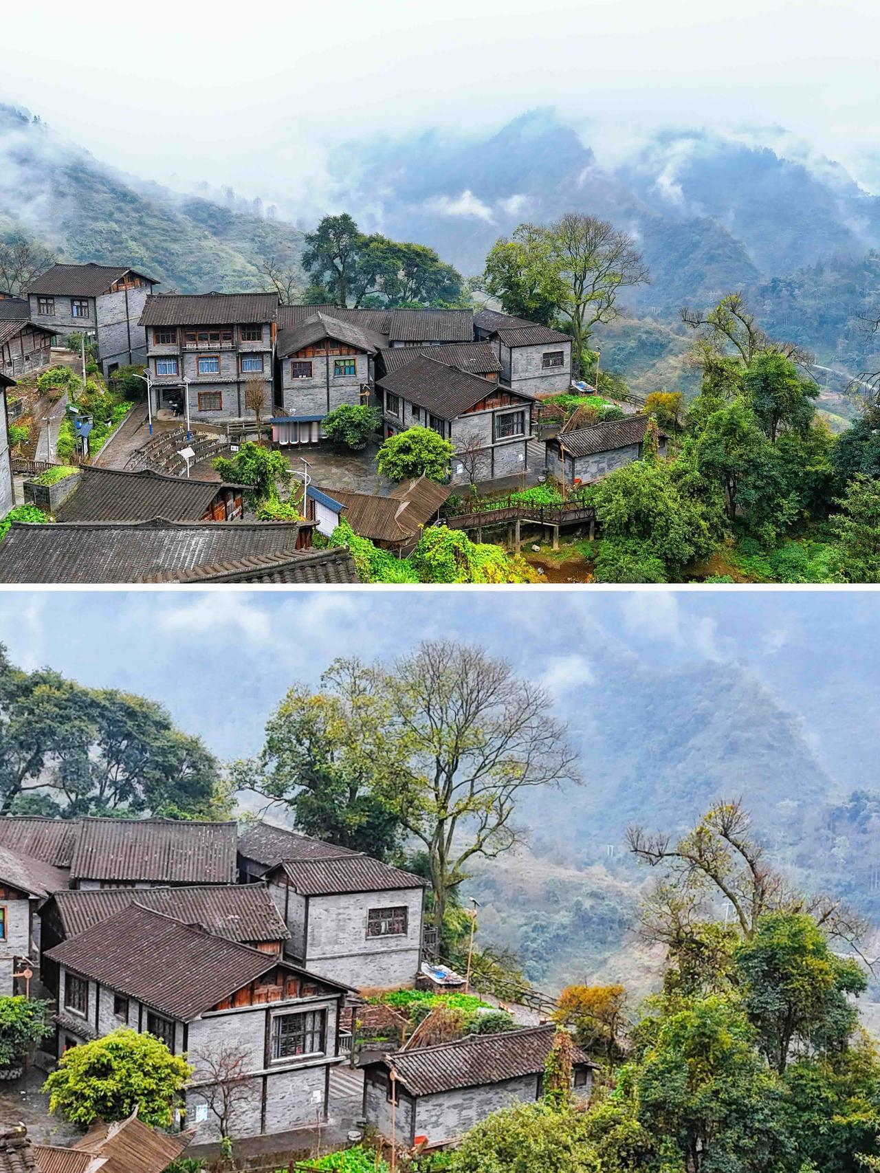 贵州被低估的秘境：走千年茶马古道，喝千年古树做的奶茶，这是什么神仙体验？如果