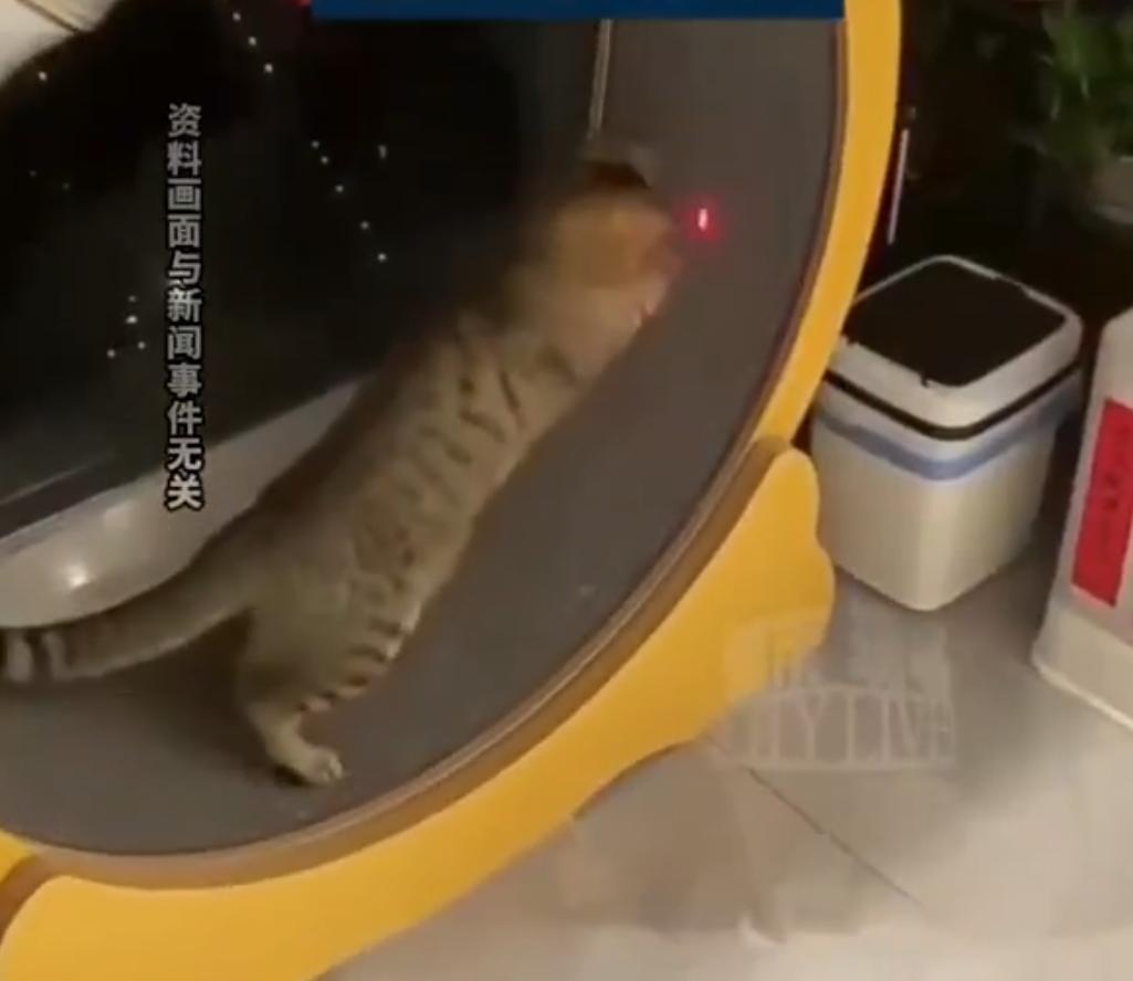 悲剧还是出现了。浙江宁波，一个23岁的小伙子，大晚上的在家用激光笔逗猫玩