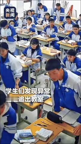 “上央视新闻了！”贵州，一女老师正在上课突然感觉身体不适，她踉踉跄跄走出教室想缓