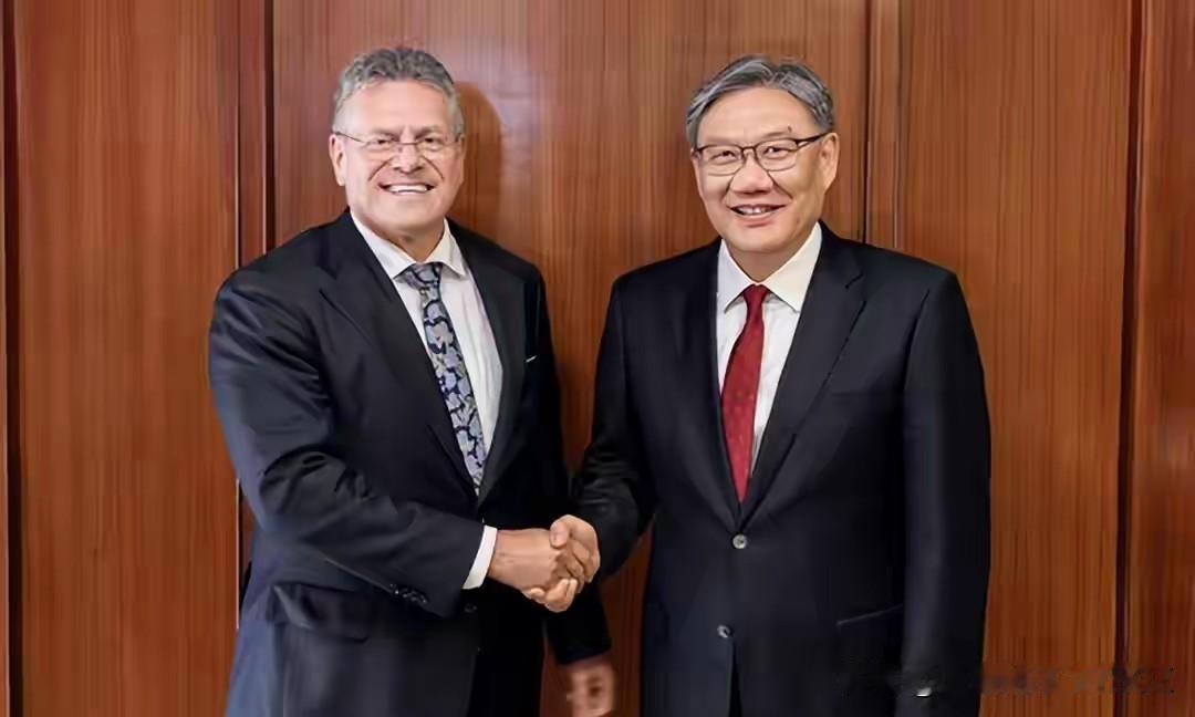 7月1日爱尔兰正式开启欧盟下半年轮值主席任期，为期半年。爱尔兰对华经贸态度相对务