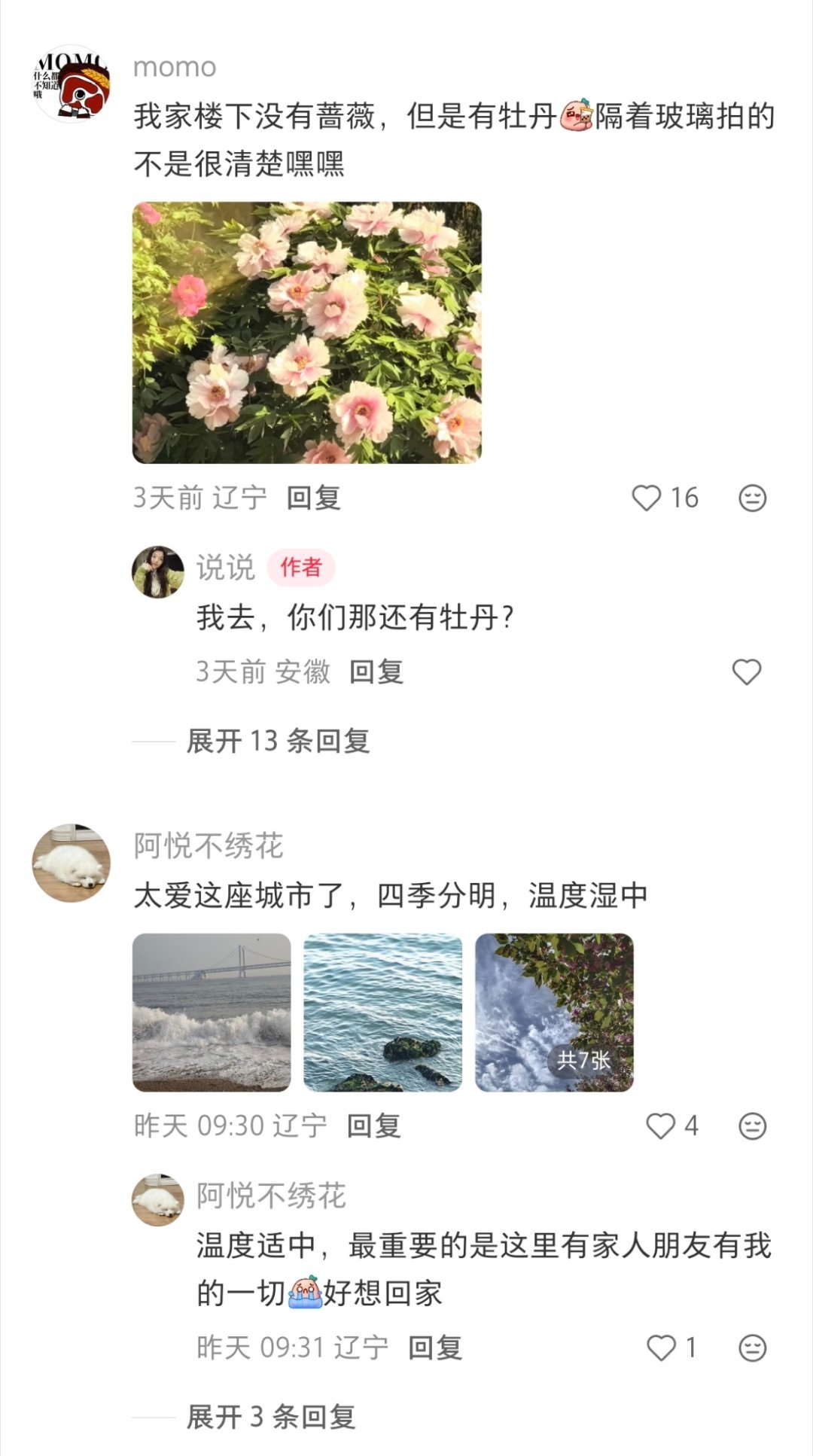 之前说到大连，网友YZ77是这么评论的:“大连就是很chill，我很难形容大连