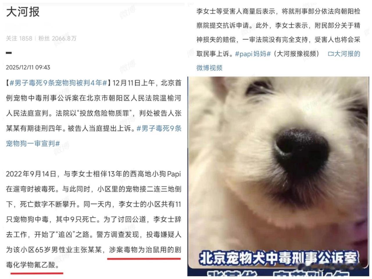 同样投毒至宠物死亡，一个被判刑一个只是罚款。为何会有如此大的差别？上海浦东案件