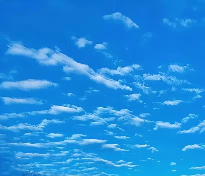 邻居两口子四十多岁，男的长得又高又帅，在外面还是个小老板。女的比男的大三岁，因为