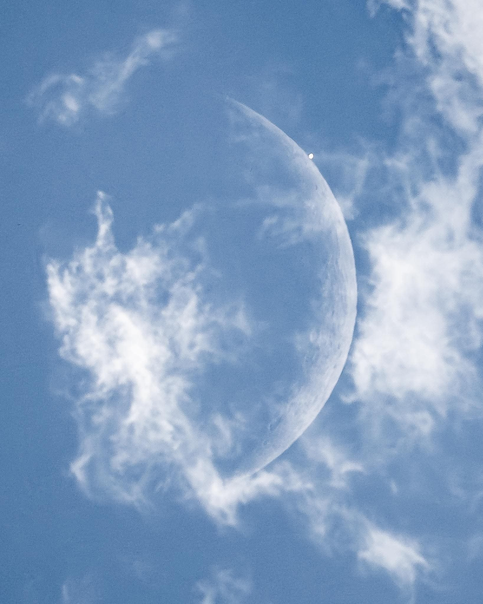 金星在光天化日之下从月球后方浮现。
