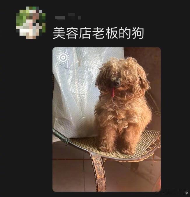 裁缝儿子穿破衣具像化了[捂脸哭]​​​