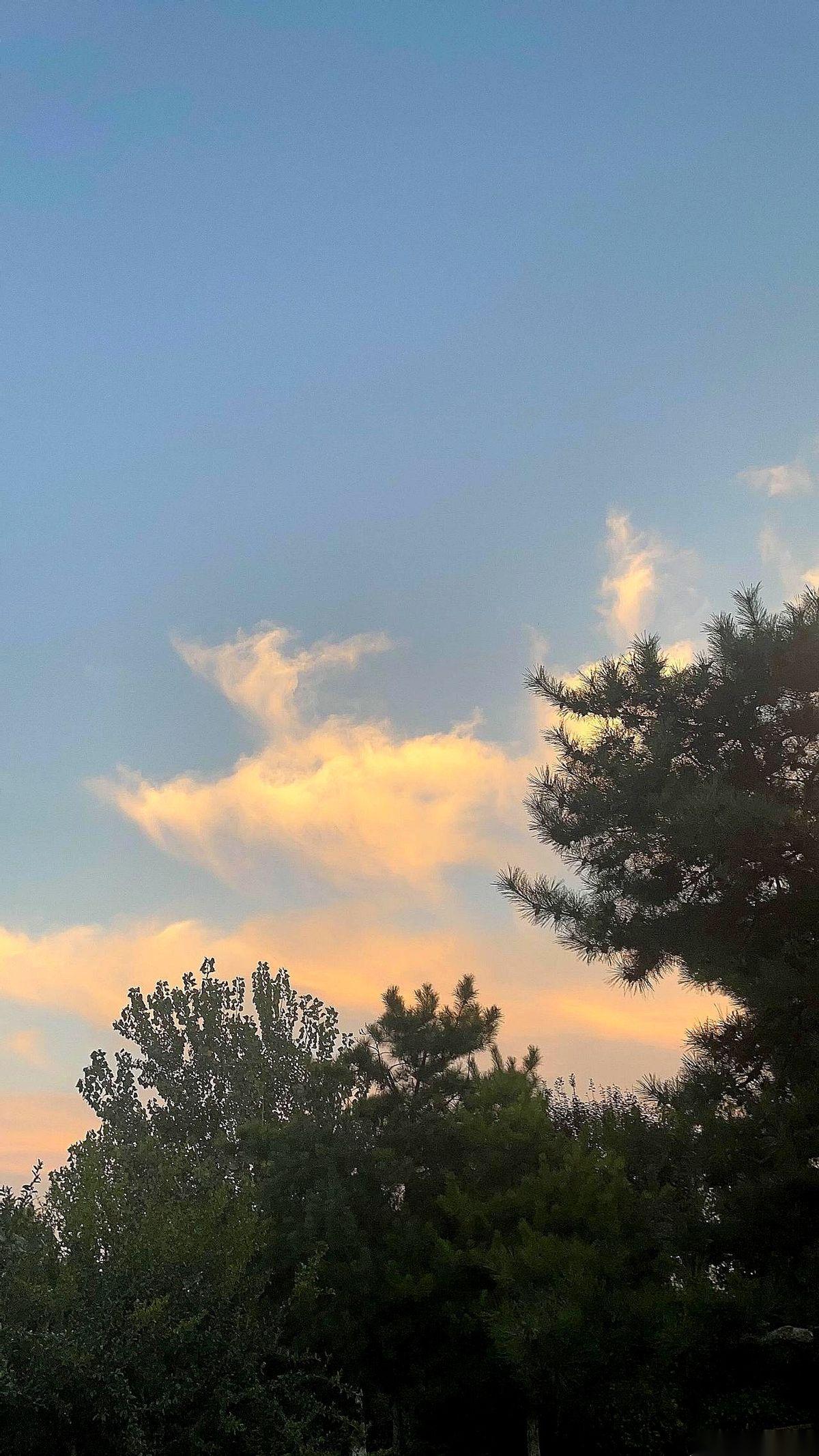 脖子僵到半夜疼醒，真的会哭出来。头晕，恶心，感觉整个脑袋都不是自己的，像顶着一