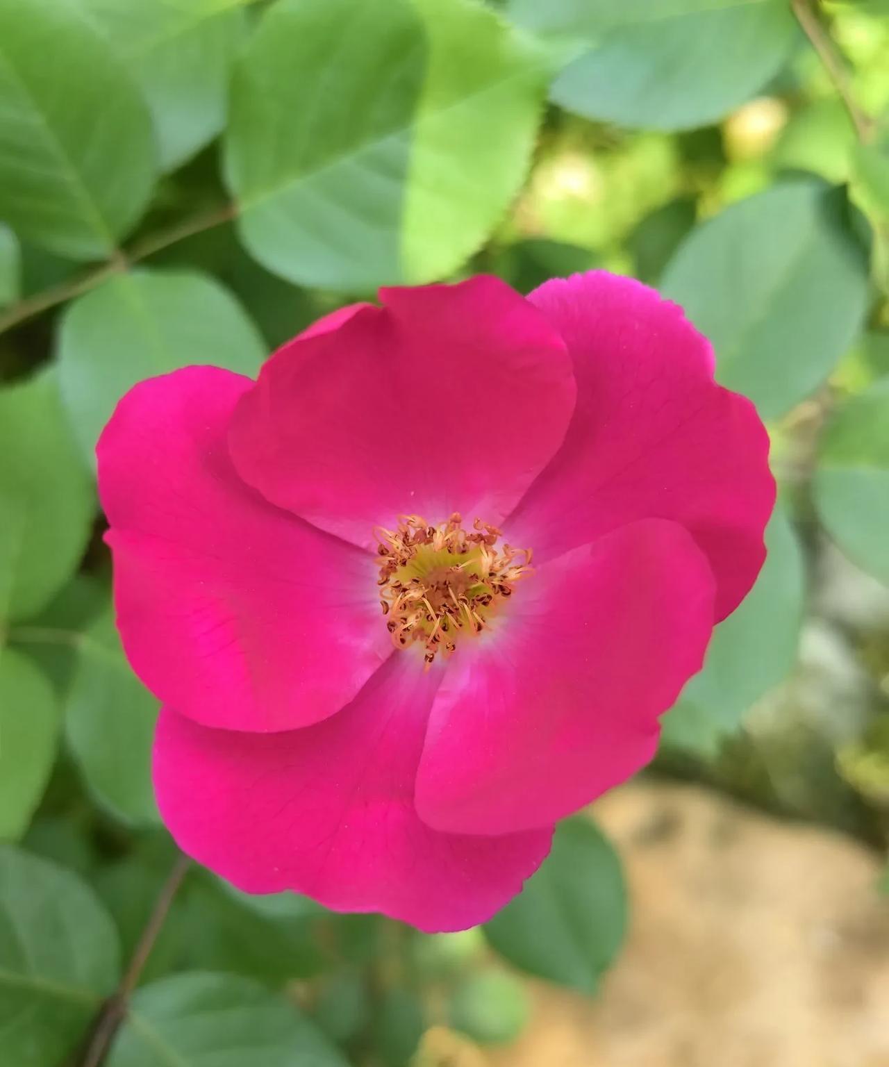 看到央行数据，现在国内人均存款近9万元，这是实实在在的银行存款，不包括房车等不动