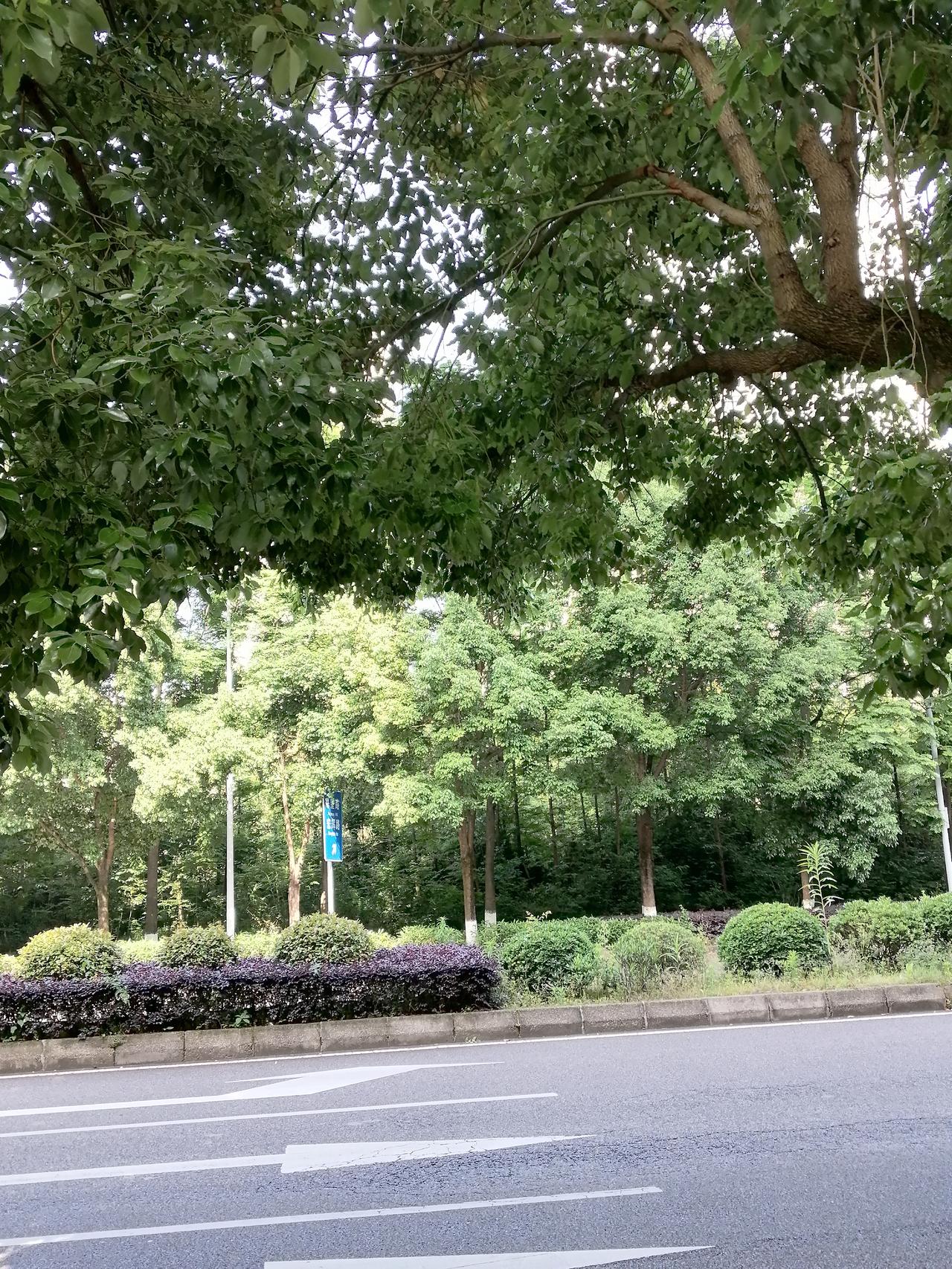 蔡家，重庆下一个“智慧宜居”天花板，正在超车！重庆两江新区的目光，正锁定蔡家
