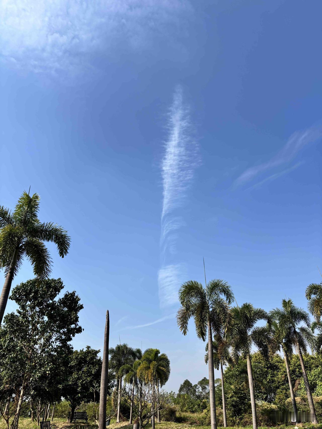 越是使用频次高的东西，越要用好的！比如鞋子、手机、办公电脑、内衣内裤袜子、枕头、