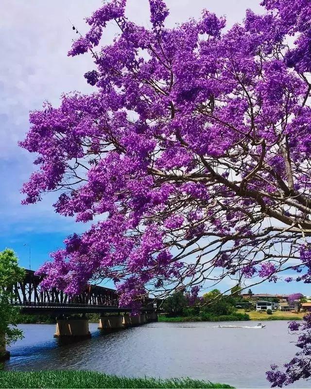 下周潜力板块探讨！本周大A在后两个交易日开启修整，不过结构性行情依然亮点颇多。