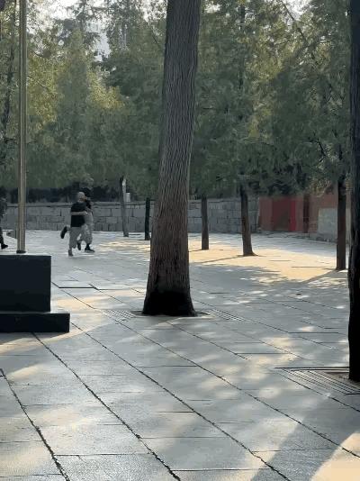文班亚马这是在少林寺学轻功了，学成后两三步就跨越整个球场，这边刚封盖完对手的投篮