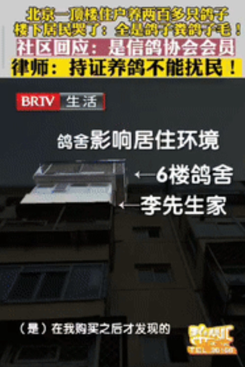 北京一男子花了235万买房，结果楼上邻居养了200多只鸽子，忍无可忍想卖房，却发