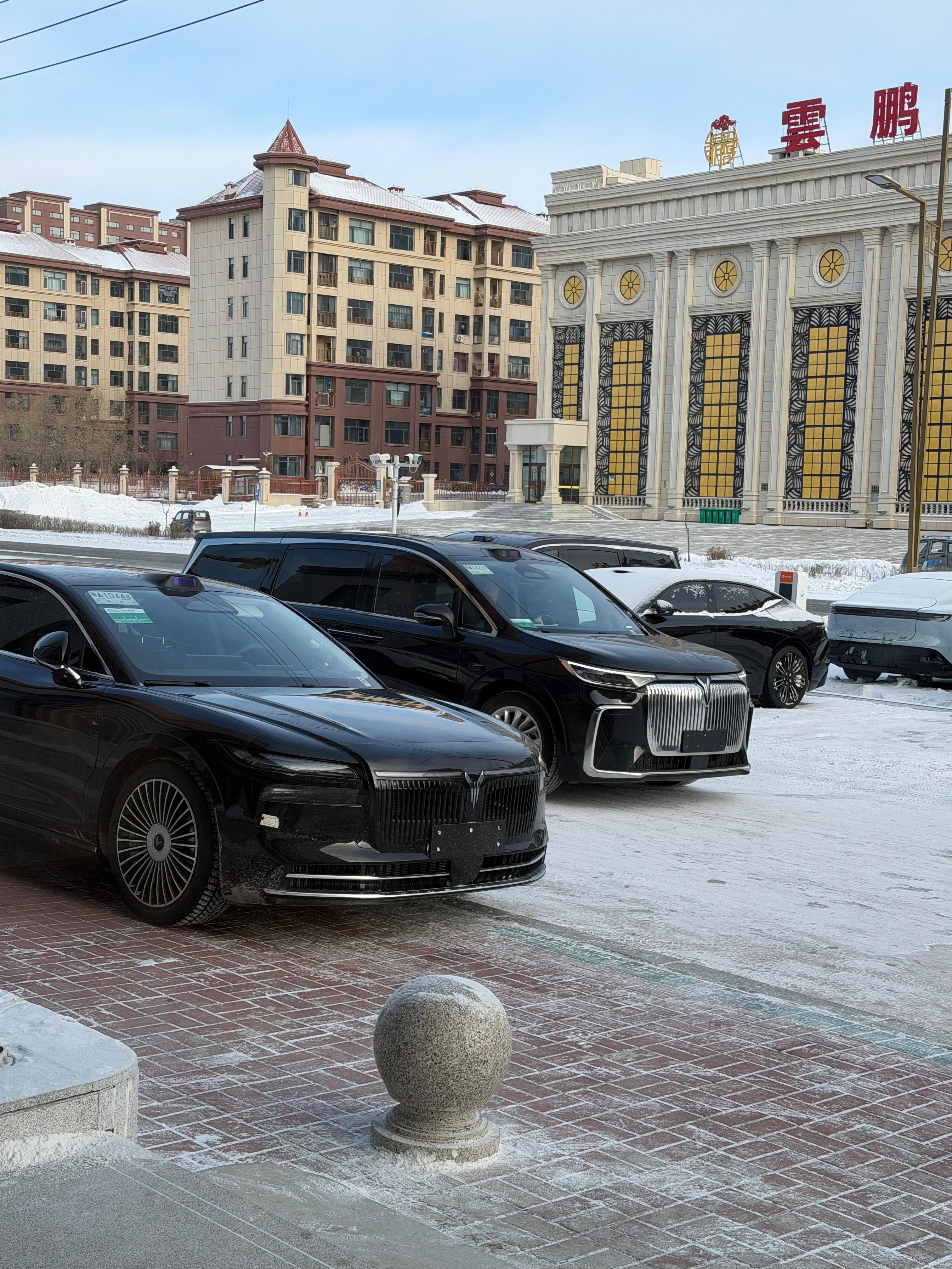 偶遇岚图全家桶也来冬测了牙克石