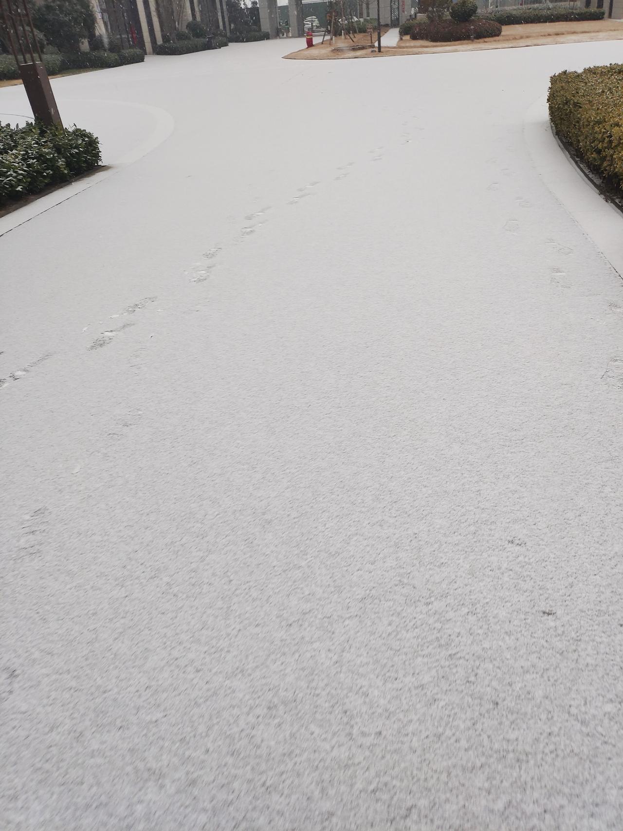 老师总感觉家长是错的！家长为什么会无缘无故的跟老师作对的？都是成年人。不从自己身