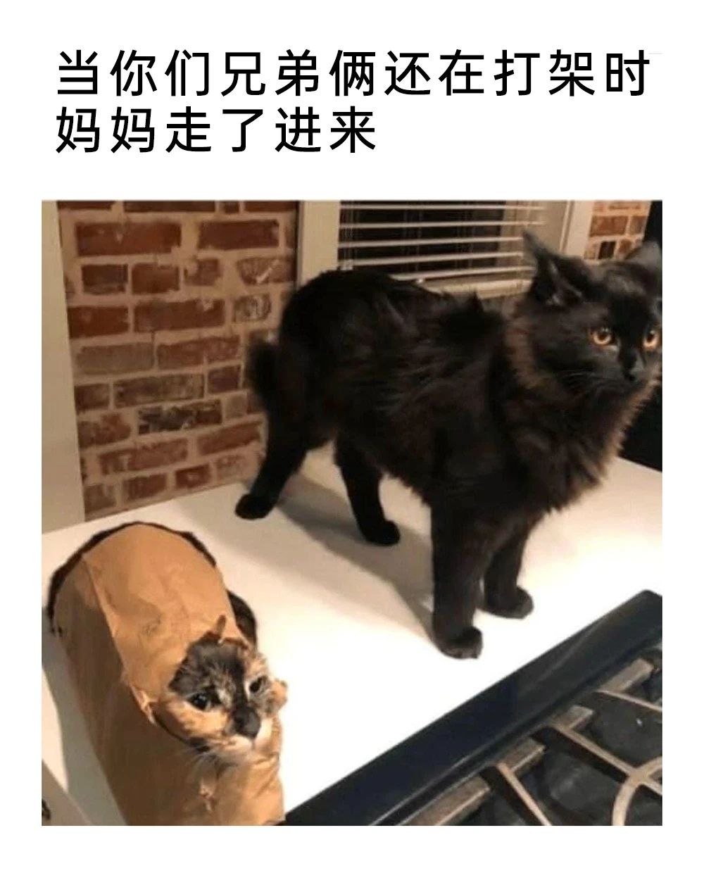 闹着玩呢