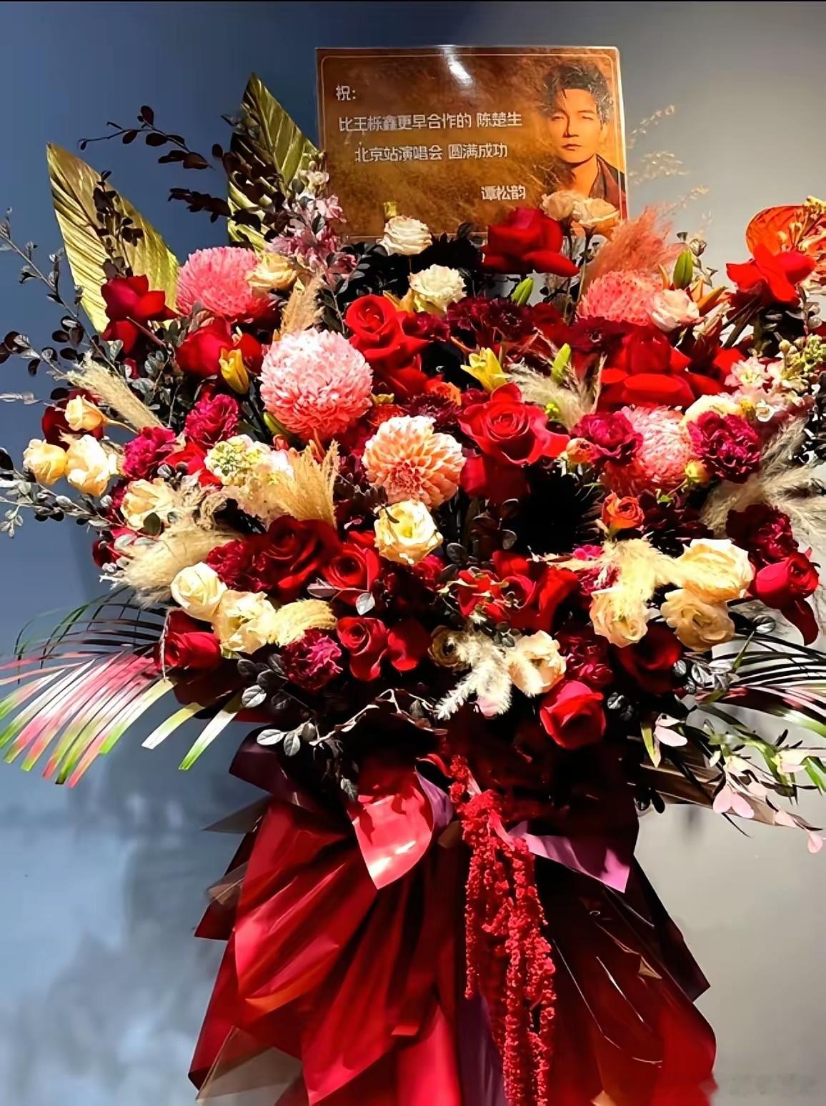 我真的要被谭松韵笑死。就那句“比王栎鑫更早合作的陈楚生”。绝了。真的绝了。陈楚生