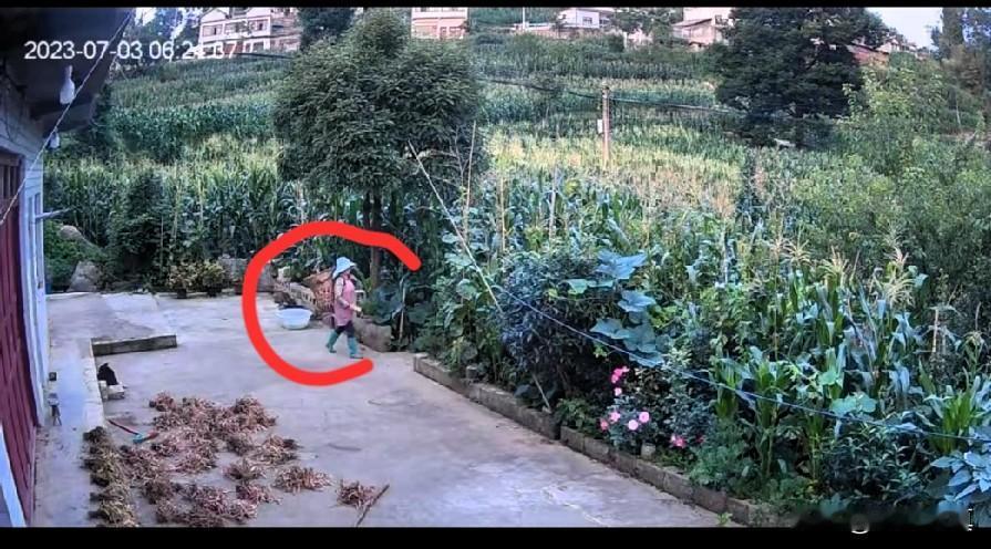 石缝藏尸：又是一起熟人凶杀案，热心帮忙的大伯是真凶，作案动机被曝光2023