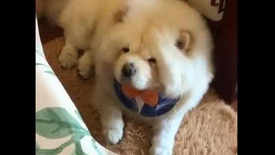 3262913604849384338.jpg?id=0