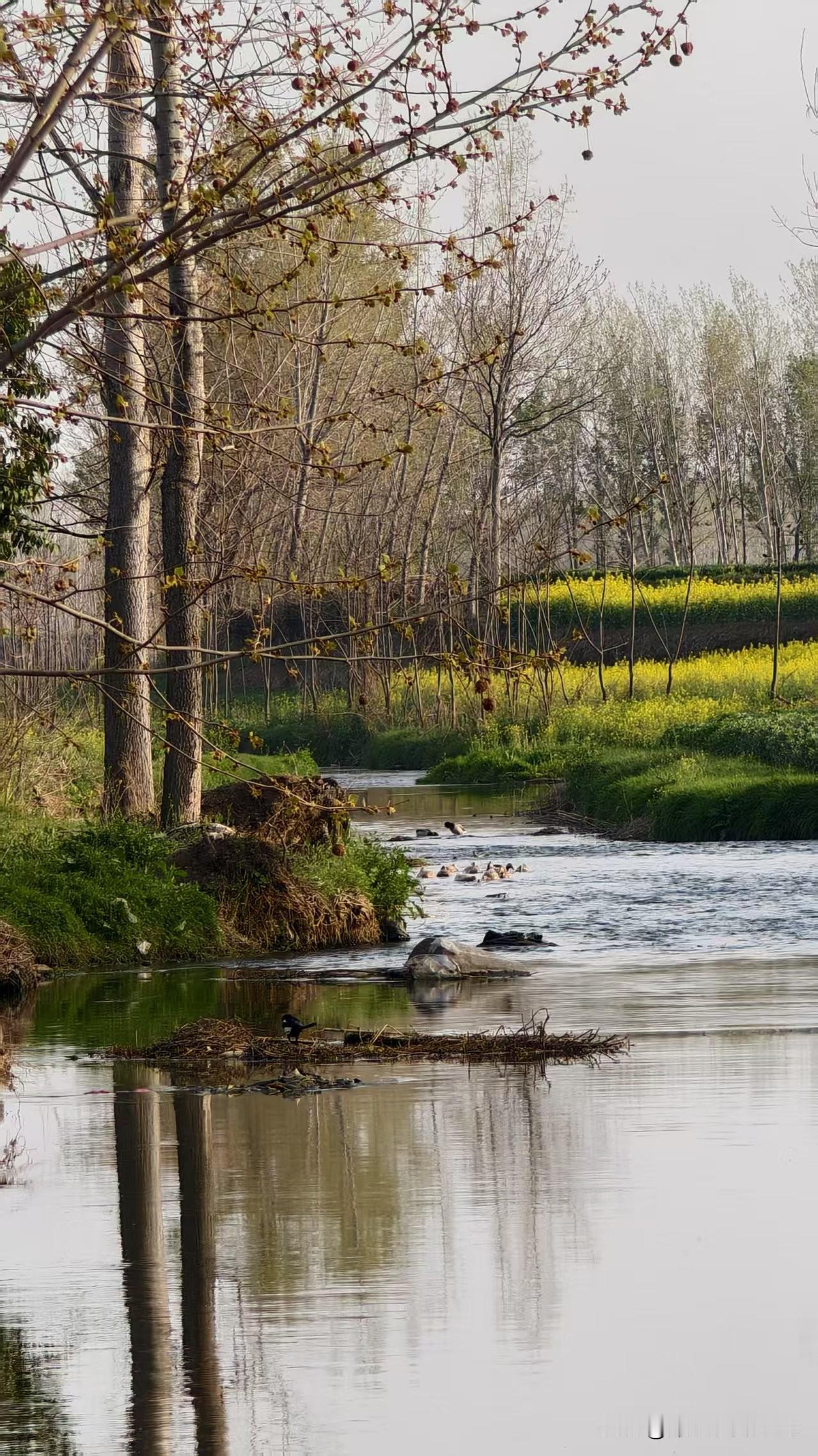 为什么总是这么的“卷”？30年前人们都在比谁先用上手机；20年前人们都在比谁
