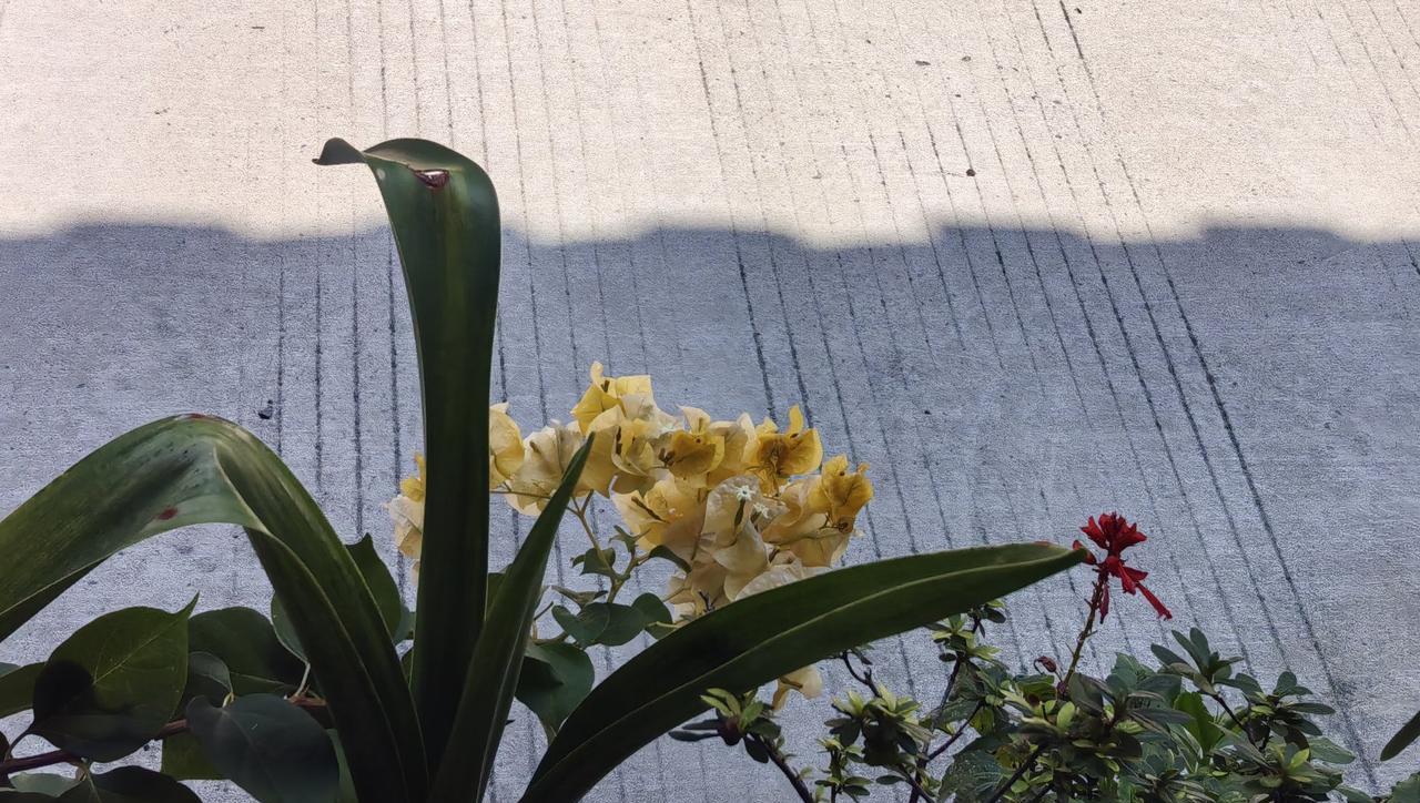 活到98岁了，摔了一跤就不再能自理。儿子女儿也都一大把年纪了，谁也不想接这个包袱
