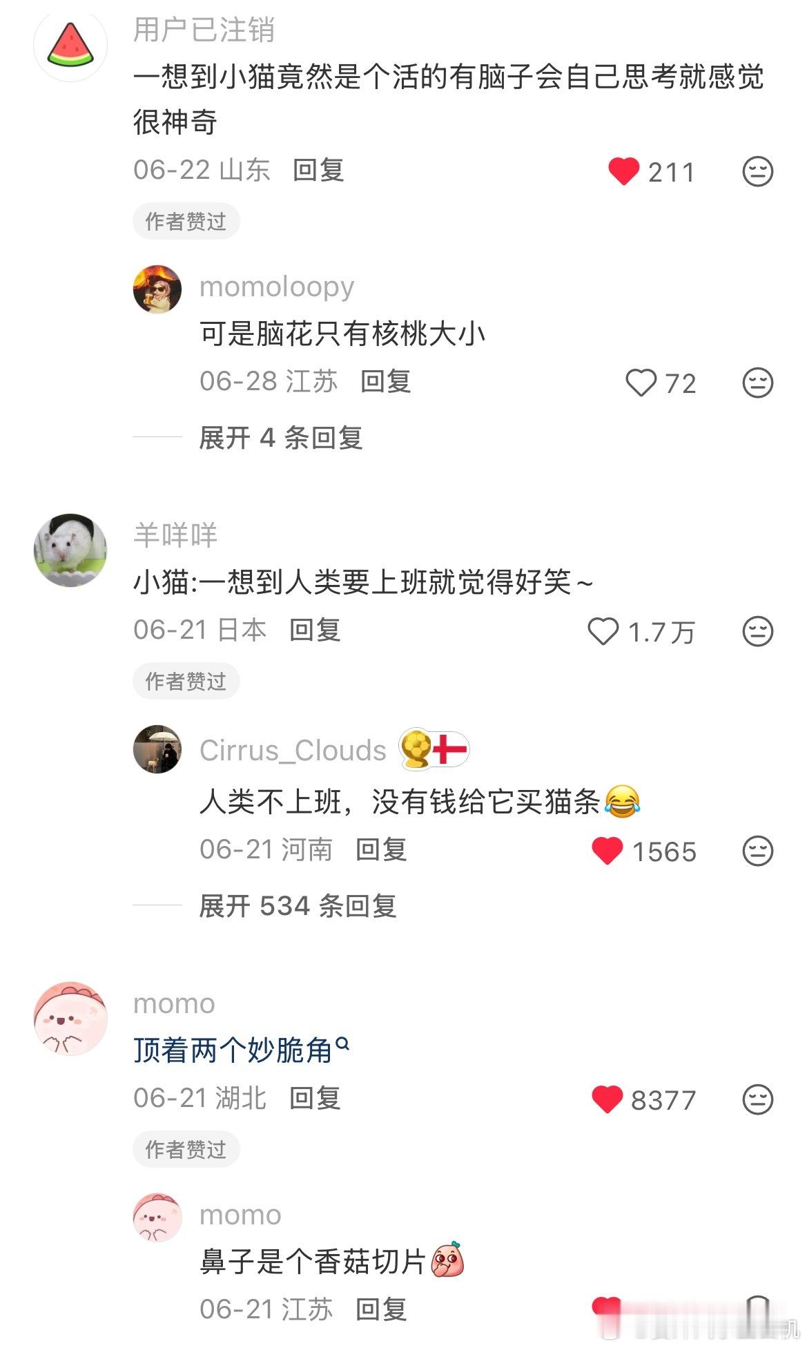 一想到何伟也是猫看到这种帖子就很想笑
