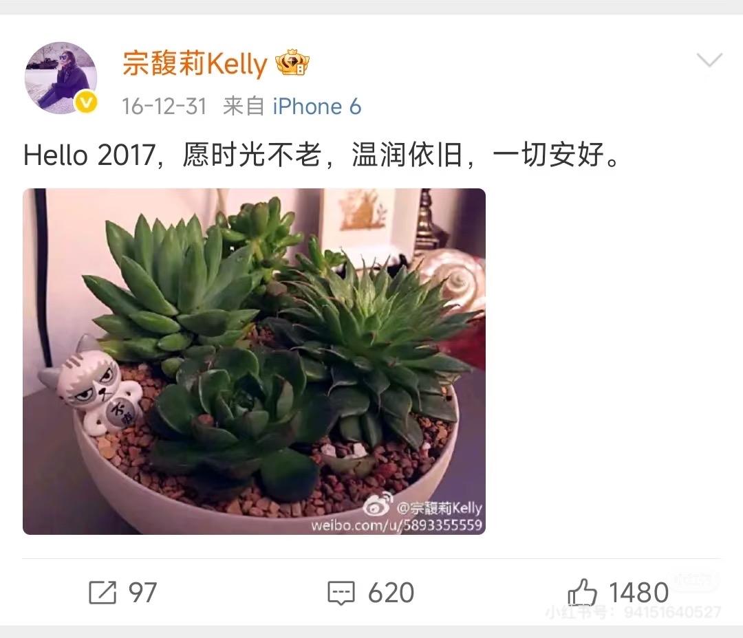 宗馥莉的早期博客其实已经暴露了她当时的艰难处境：2016年最后一天发的迎新年祝福