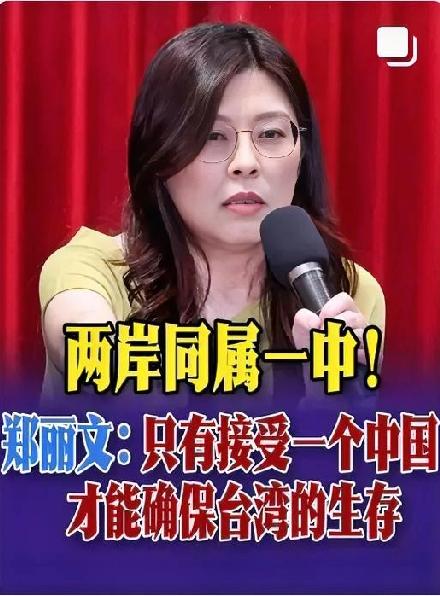 郑丽文刚刚接手国民党主席！美日欧的人就挨个上门示好拉拢？结果全都碰了一鼻子灰！