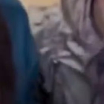 0000石竹种植一、选种与时机选择饱满无病害的种子或健康分枝苗，推荐四季可花的“