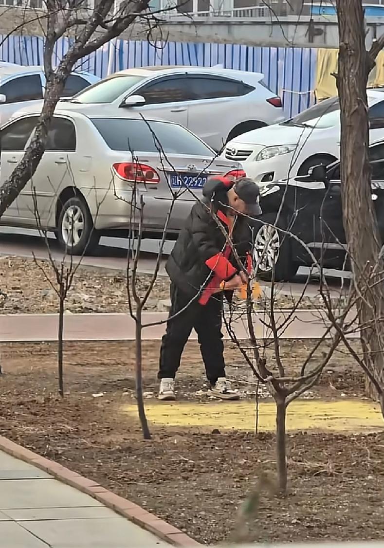 这回终于知道为什么在冬天仍然能看到大批量的鸟群在这边飞行因为有无数的好心人不停