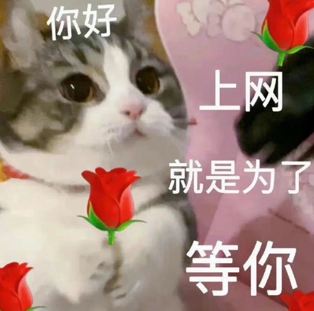 这是一条找我有事的留言博看到留言我就会立马看私信因为私信太多了真的很难看到