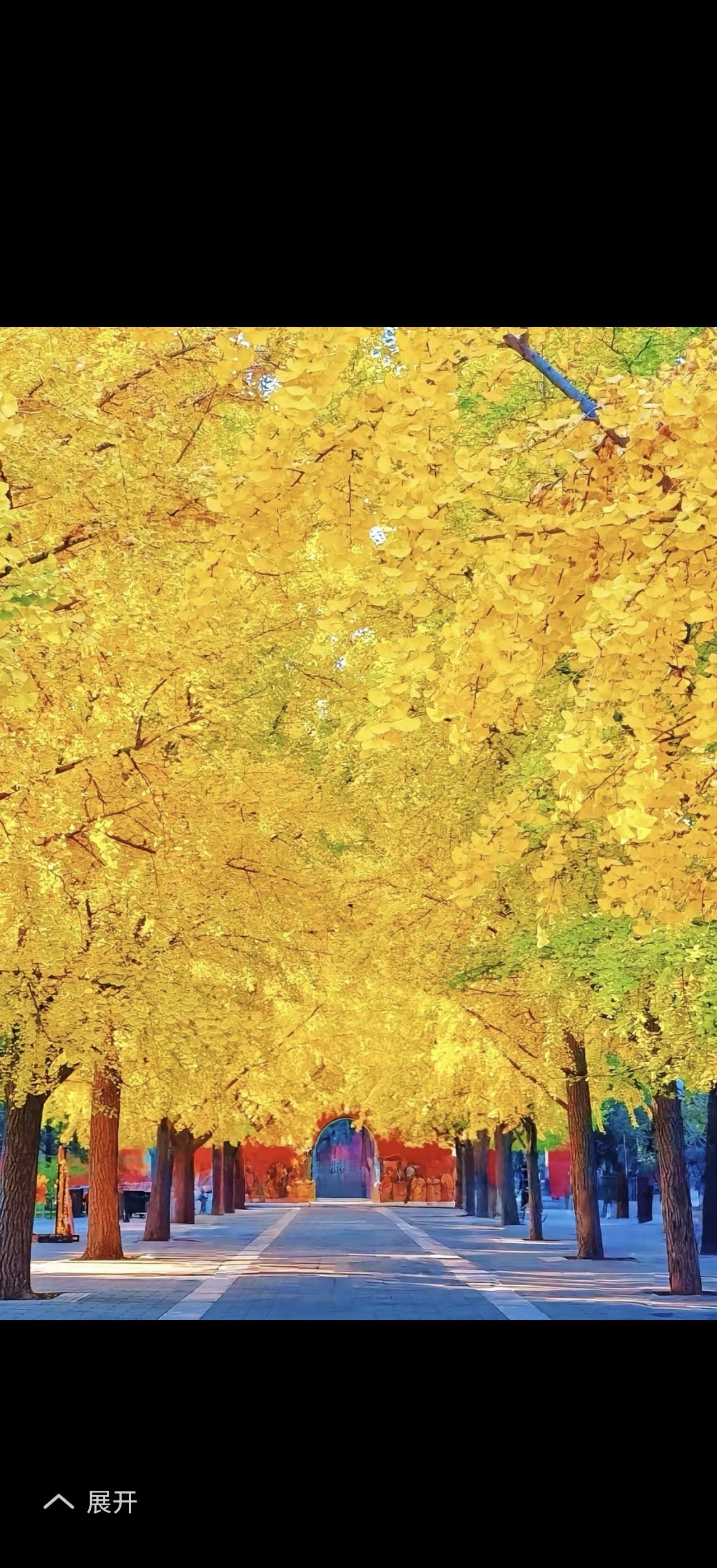 最近天气虽晴但冷，阳光都没啥存在感，体感那叫一个冷。就像甘肃这几天，多地都有降雪