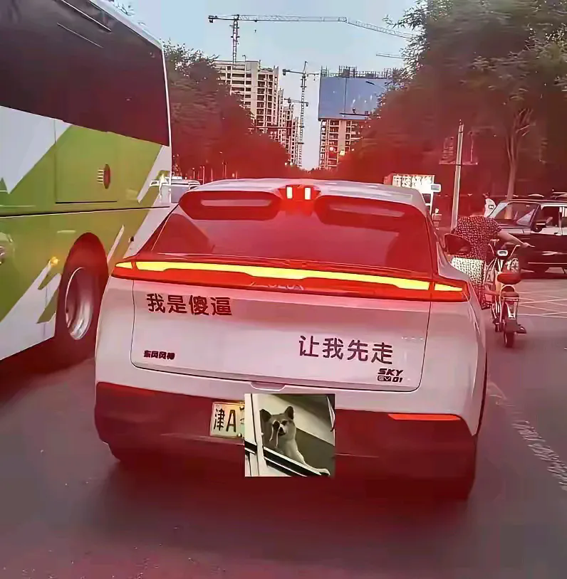 假如在路上碰到这两台车，你会让哪台先走？