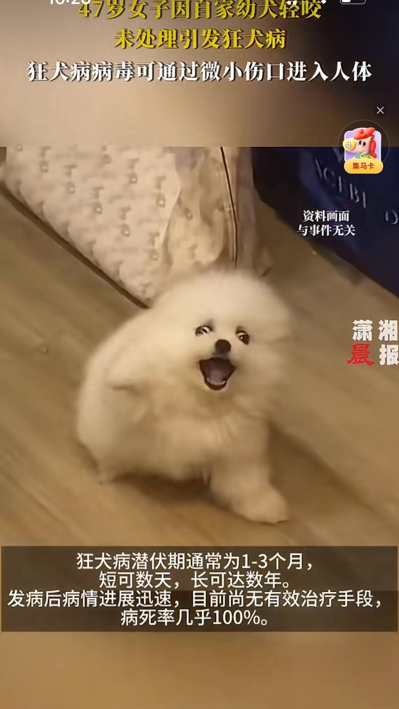 湖南长沙发生的一起悲剧，让无数人揪心不已。一位47岁的女士被自家三个月大的幼犬轻