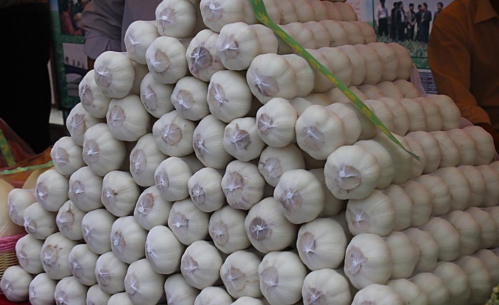 发芽大蒜还能吃吗? 听专家为你揭秘