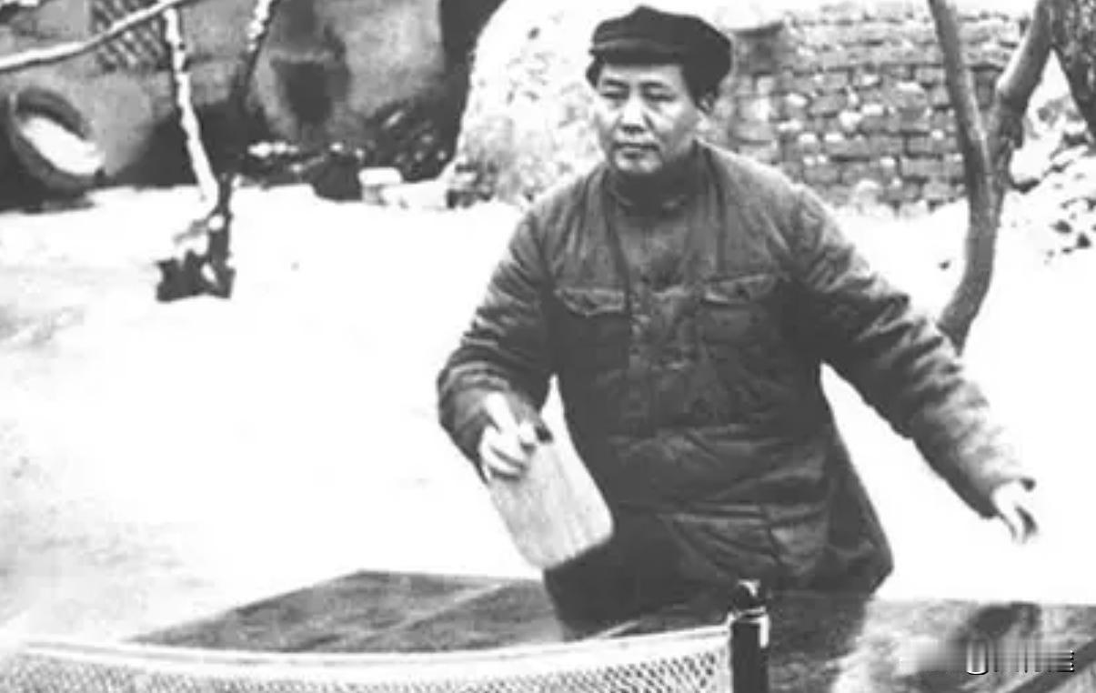 毛主席当年提出学生要德智体全面发展。上世纪八十年代，有人提出“德智体美劳”全面