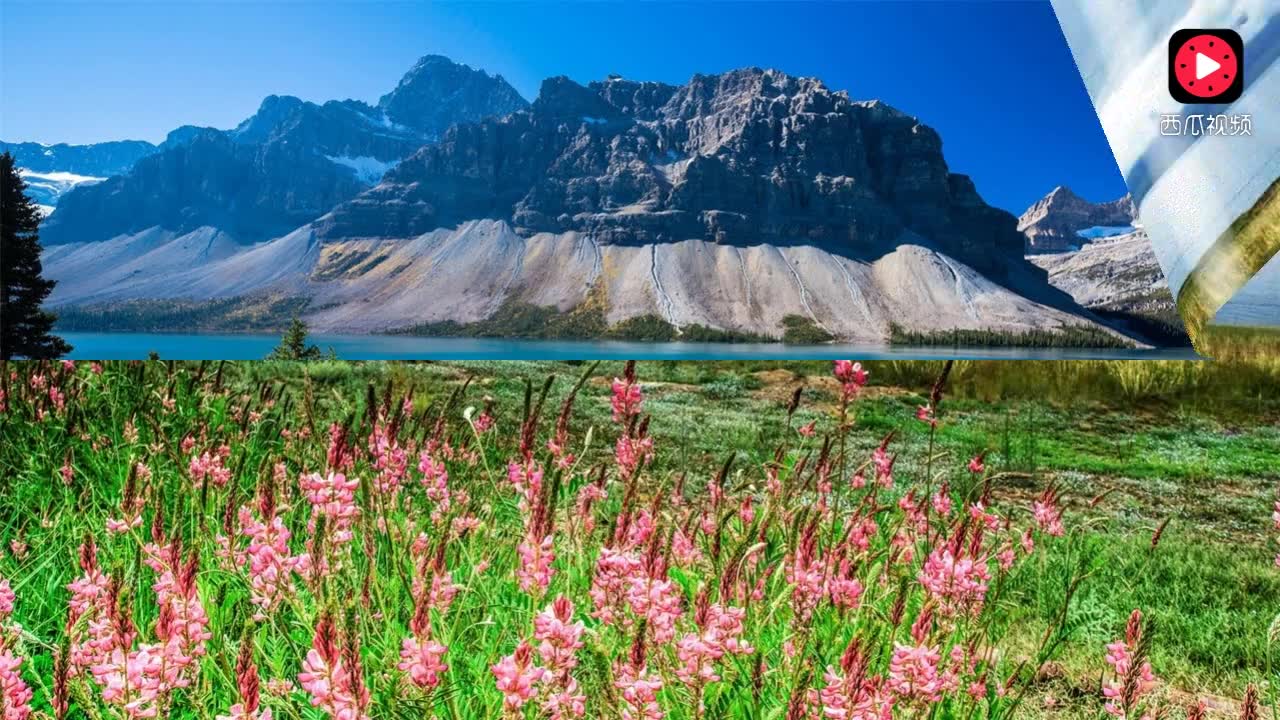 萨克斯曲谱荷塘月色_荷塘月色萨克斯谱