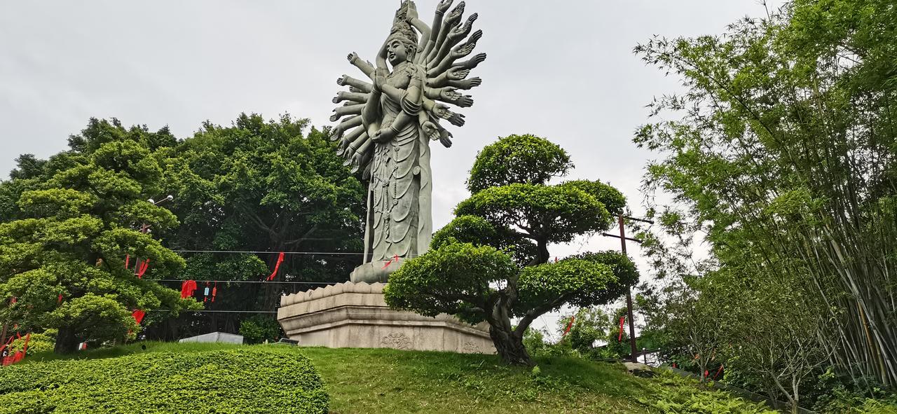 券商股星期一早盘如果高开不要追涨。耐心等待盘中的调整，调整就是加仓的好时机。收